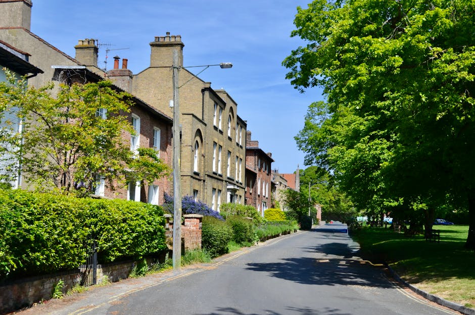 A narrow residential street in High Barnet lined with historic brick and stone-fronted terraced houses featuring large windows and chimneys, under a clear blue sky. The pavement is edged with well-maintained green hedges, small trees, and bushes, some with purple flowers. A tall lamppost stands near the curb, casting a shadow over the street in the bright daylight. The street curves gently ahead, with a large leafy tree on the right providing partial shade. This setting depicts a quiet neighbourhood conducive to home relocation activities, with space suitable for a moving van from Removal Van Barnet to park nearby for furniture transport and packing or loading processes, supported by the peaceful environment and accessible street layout needed for efficient house removals in high streets or narrow streets of the area.