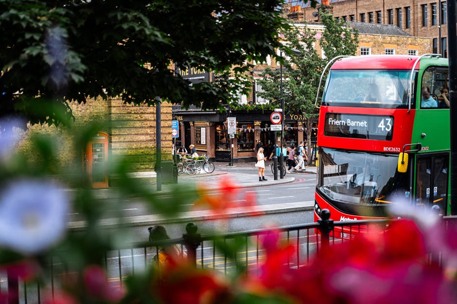 A city street scene in High Barnet showing a double-decker bus with route number 43 and destination Frier Barnet, positioned adjacent to a sidewalk with pedestrians and cyclists. In the foreground, out-of-focus plants with red and white flowers partially obscure the view. Behind the bus, several people are waiting at a bus stop or walking along the pavement near shops with traditional brick facades. The environment is well-lit with natural daylight, and the street features various signage and traffic signals. The scene captures a typical urban setting suitable for house removals and furniture transport during a local home relocation, with visible elements like the bus, pedestrians, and street infrastructure contributing to the transportation and moving context.