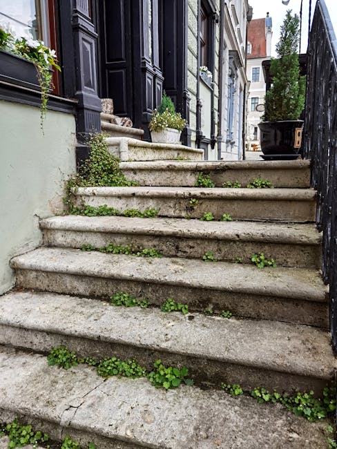 A set of wooden staircase steps illuminated by natural light filtering through a window, casting shadows on the treads and risers. The staircase features a dark wooden handrail on the right side and a